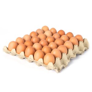 Huevos campesinos libre de jaula (AAA)